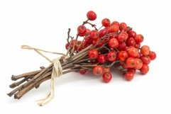 Bunch of red berries of firethorn pyracantha tied with strin Product Image 1