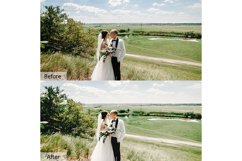 160 Premium Wedding Mobile and Desktop PRESETS Product Image 4