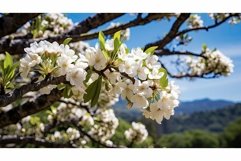 flowers california buckeye Product Image 1