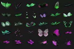 100 BUTTERFLIES TRANSPARENT PNG FILES, PHOTOSHOP OVERLAYS Product Image 11