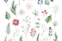 Watercolor winter florals clipart - Christmas greenery Product Image 2