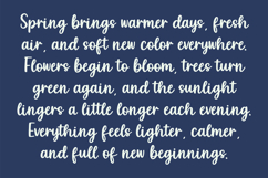 DAYDREAM Cursive Brush Handwriting Font Product Image 2