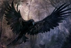 Majestic raven in mystic forest Product Image 1