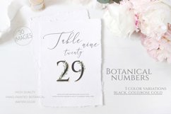 Olive Wedding Botanical Numbers Table modern wedding numbers Product Image 1