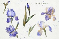 Blue irises flowers morning dawn watercolor png Product Image 2