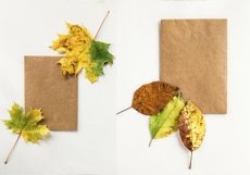 Autumn Card Paper Craft Envelope and Backgrounds Bundle Product Image 2