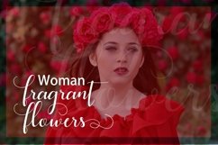 Web Font Prilliya Script Product Image 3