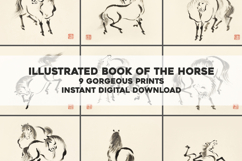 9 Vintage Japanese Horse Illustrations Bundle Product Image 1