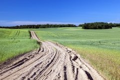Field with cereal Product Image 1