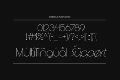 Dahlisse Font Product Image 8