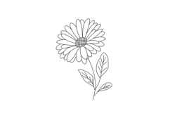 Daisy Flower Botanical Product Image 1