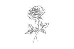 Minimal Rose flower Botanical Product Image 1