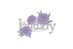 January Birth Flower Product Image 1