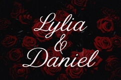 De Lesa Paquetts Elegant Classic Script Font Product Image 3