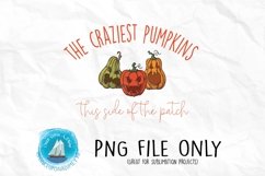 Craziest Pumpkins | Autumn| Halloween Sublimation File Product Image 1