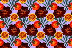 12 Seamless colorful FLOWER patterns bundle. Digital Paper Product Image 12
