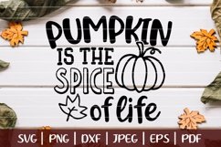 Pumpkin Is The Spice Of Life SVG, Mom Fall SVG Product Image 1