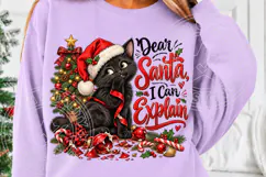 Dear Santa, I Can't Explain Funny Black Cat Christmas PNG Product Image 5
