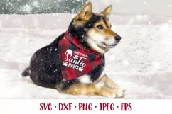 Here comes Santa Paws SVG. Funny dog Christmas quote design Product Image 2