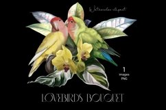 Lovebird Parrot, Watercolor bouquet clipart, Product Image 1