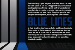 Decepticon Product Image 2