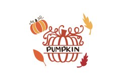 Decorative Pumpkins Product Image 1