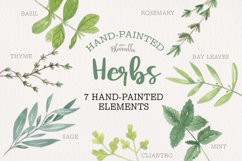 Herbs Watercolor 7 Elements Green Foliage Herb Garden Product Image 1