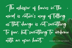 Dedicate - Bold Handwritten Font Product Image 4