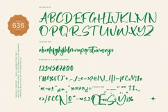 Dedicate - Bold Handwritten Font Product Image 18