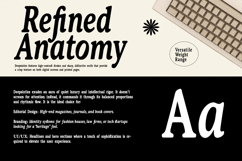 DeeplySixties Classy Retro Serif Typeface Family Product Image 3