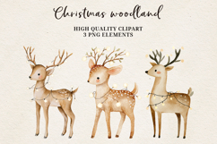 Christmas Woodland Deer | Elegant Reindeer with Lights PNG Product Image 1