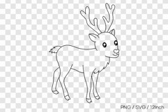 Gentle forest baby deer fawn branch horn PNG animal clipart Product Image 1
