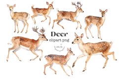 Deer Product Image 1