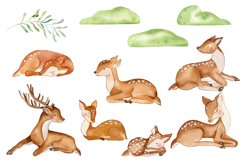 Deer watercolor clipart. Mom and baby. Forest animals Product Image 3
