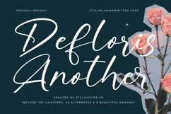 Defloris Another - Stylish Handwritten Font Product Image 1