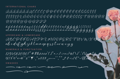 Defloris Another - Stylish Handwritten Font Product Image 18