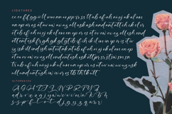 Defloris Another - Stylish Handwritten Font Product Image 19