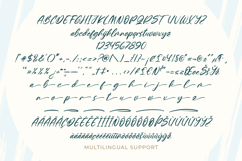 Delaghen - Handwriting Stylish Script Font Product Image 2