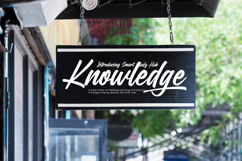 Delaghes - Bold Script Font Product Image 5