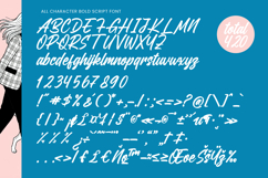 Delaghes - Bold Script Font Product Image 10