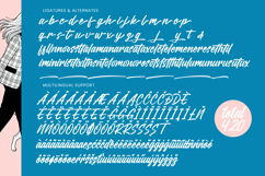 Delaghes - Bold Script Font Product Image 15