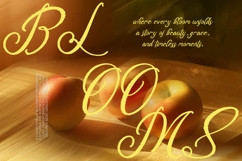 Delegatt Textured - Elegant Textured Script Product Image 6