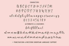 Delicate Whimsy Script Product Image 10