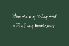 Delicate Whimsy Script Product Image 3