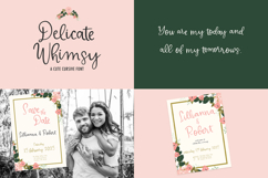 Whimsical Script Font Mini Bundle Product Image 2