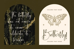 Delicately - Stylish Handwritten Font Product Image 4