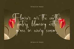 Delicately - Stylish Handwritten Font Product Image 8