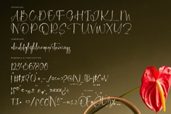 Delicately - Stylish Handwritten Font Product Image 18