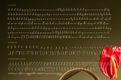 Delicately - Stylish Handwritten Font Product Image 19