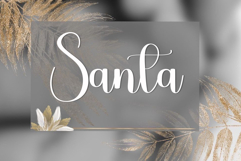 Delich Product Image 2